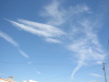 Thumbnail IMG_7729.JPG 