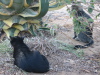 Thumbnail IMG_7751.JPG 