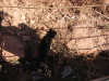Thumbnail IMG_7756.JPG 