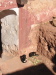 Thumbnail IMG_7762.JPG 