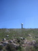 Thumbnail IMG_7783.JPG 