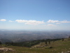 Thumbnail IMG_7791.JPG 