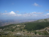 Thumbnail IMG_7792.JPG 
