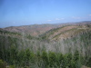 Thumbnail IMG_7799.JPG 