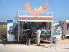 Thumbnail IMG_7808.JPG 
