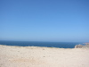 Thumbnail IMG_7810.JPG 