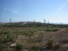 Thumbnail IMG_7821.JPG 