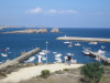 Thumbnail IMG_7825.JPG 