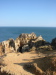 Thumbnail IMG_7830.JPG 