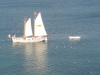Thumbnail IMG_7831.JPG 