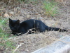 Thumbnail IMG_7875.JPG 