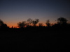 Thumbnail IMG_7882.JPG 