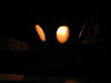 Thumbnail IMG_7885.JPG 