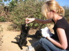 Thumbnail IMG_7893.JPG 