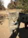 Thumbnail IMG_7895.JPG 