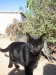Thumbnail IMG_7896.JPG 