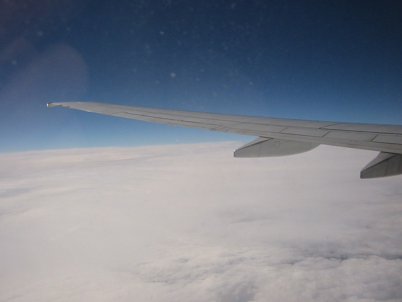 IMG_7516.JPG 