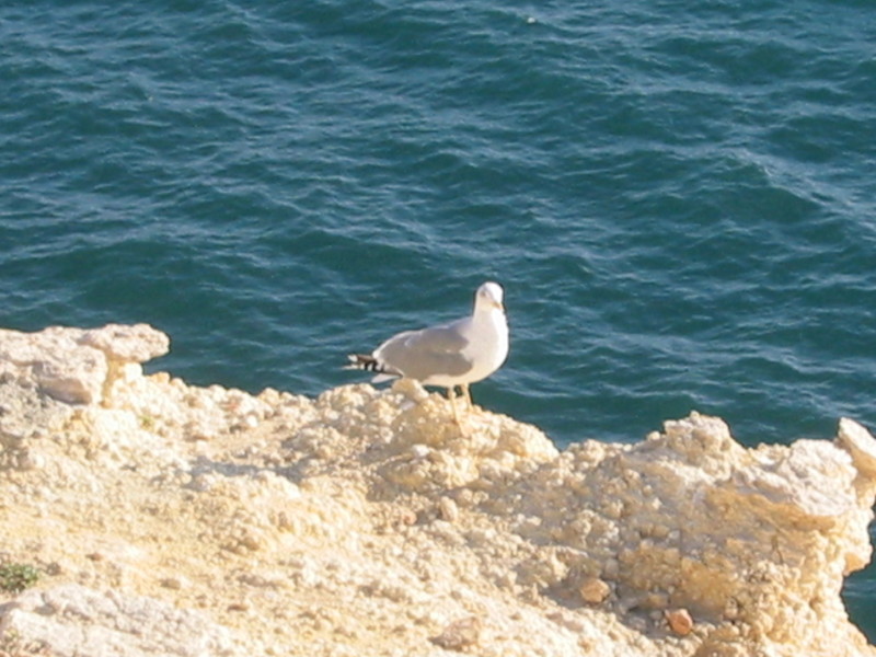 IMG_7538.JPG 