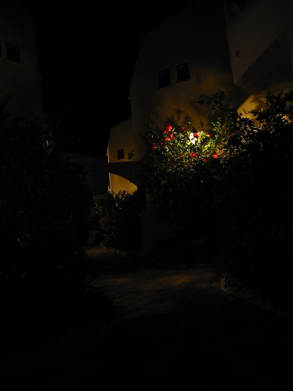 IMG_7561.JPG 