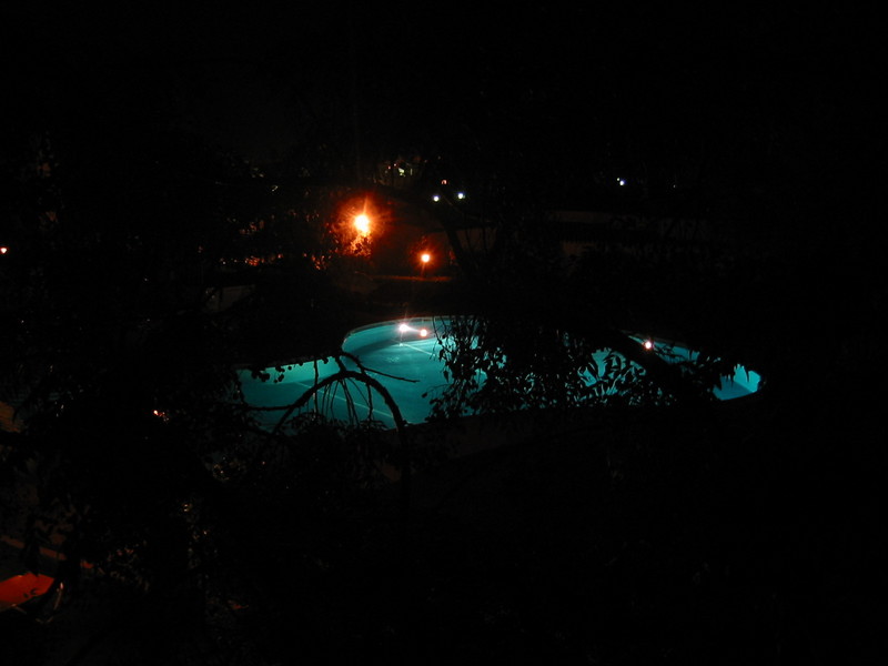 IMG_7564.JPG 