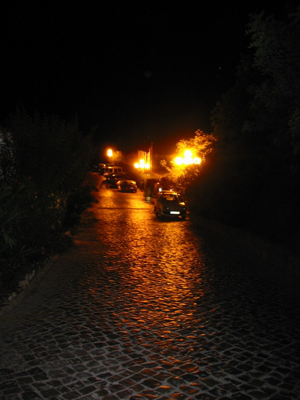 IMG_7572.JPG 