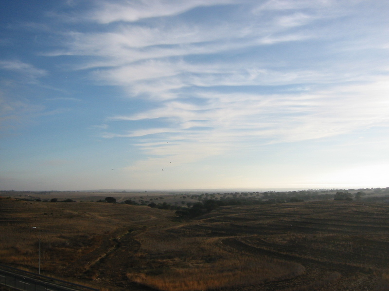 IMG_7577.JPG 