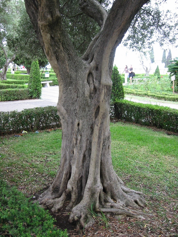 IMG_7639.JPG 