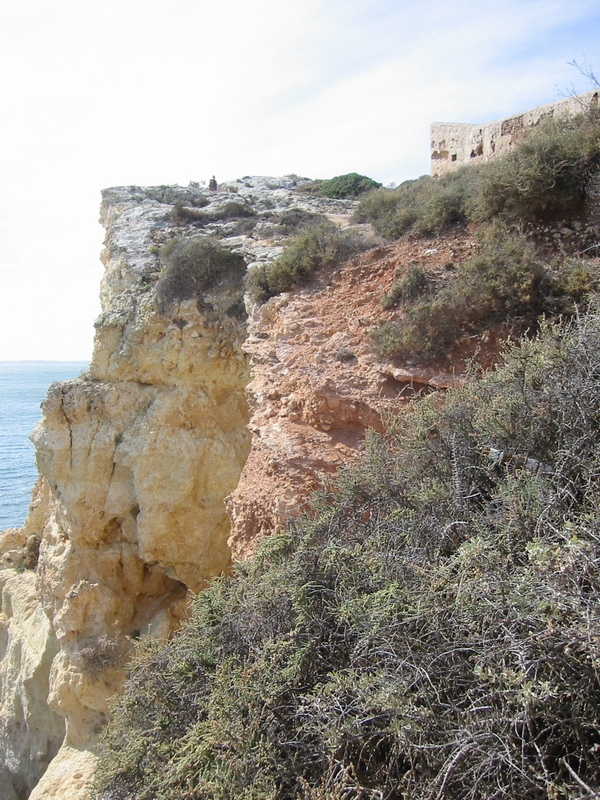 IMG_7665.JPG 