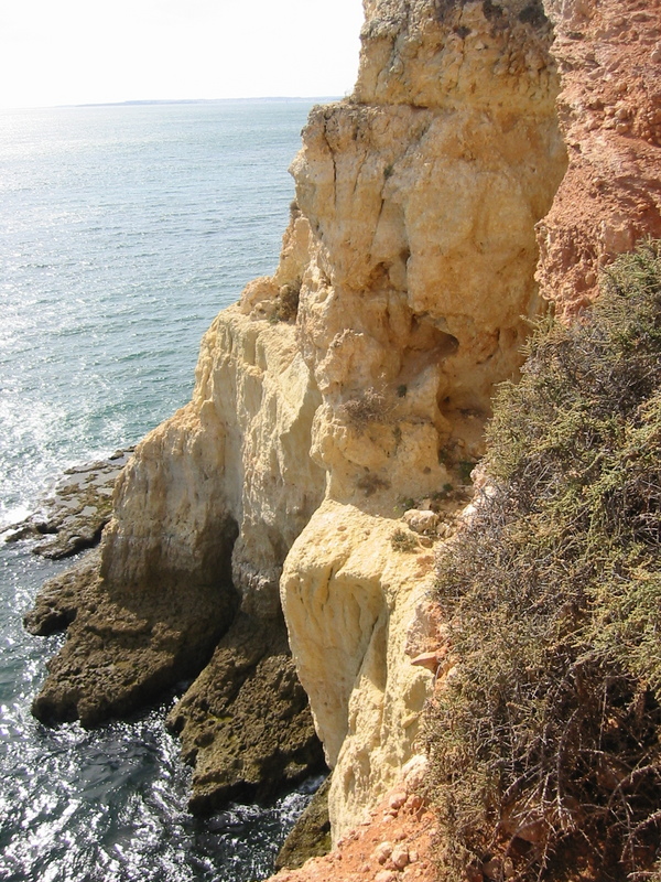 IMG_7666.JPG 