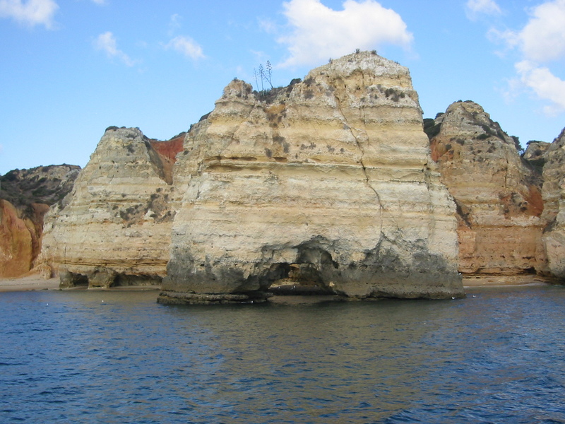 IMG_7681.JPG 