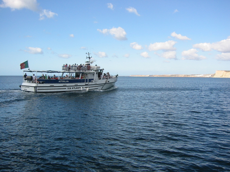 IMG_7684.JPG 