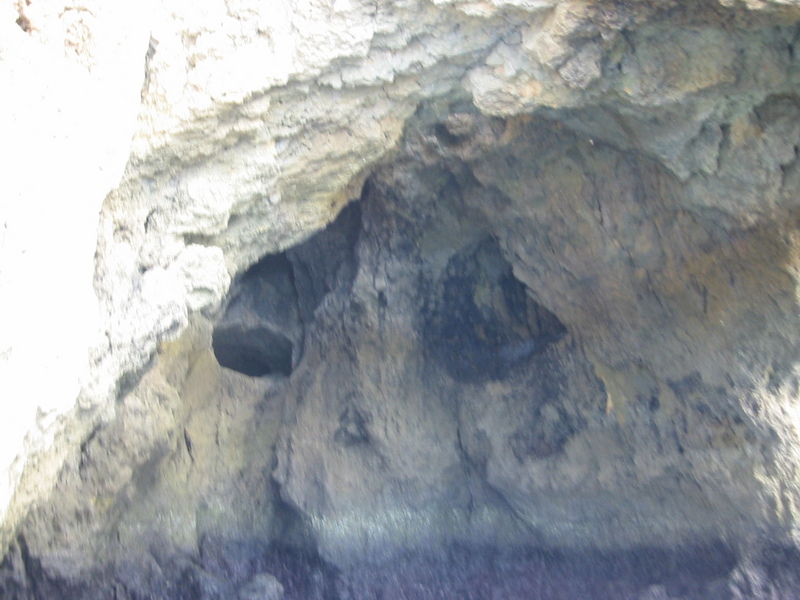 IMG_7720.JPG 