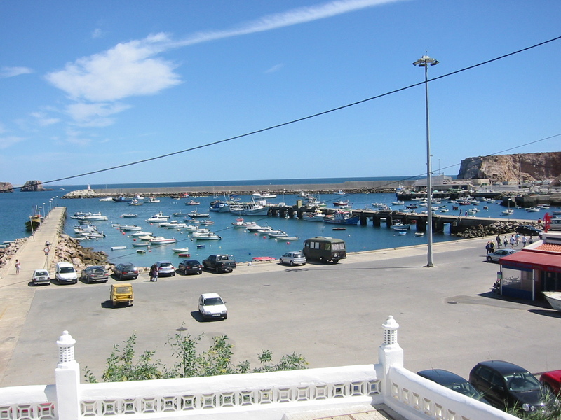 IMG_7731.JPG 