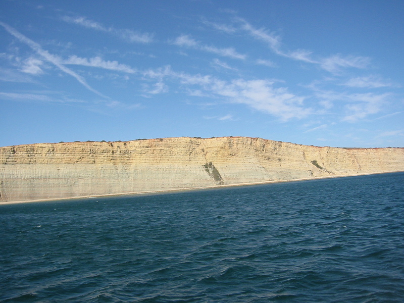 IMG_7745.JPG 