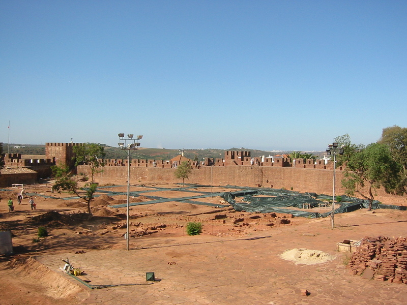 IMG_7769.JPG 