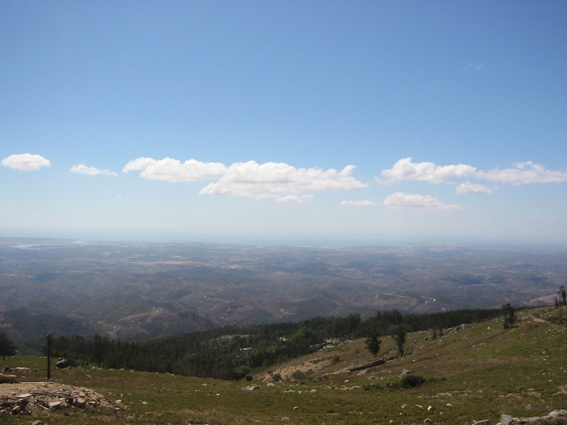 IMG_7791.JPG 