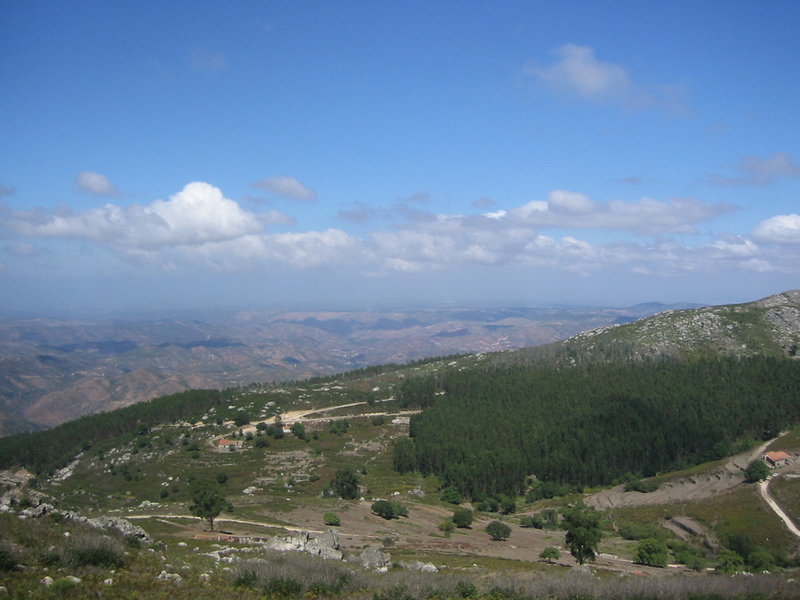 IMG_7792.JPG 