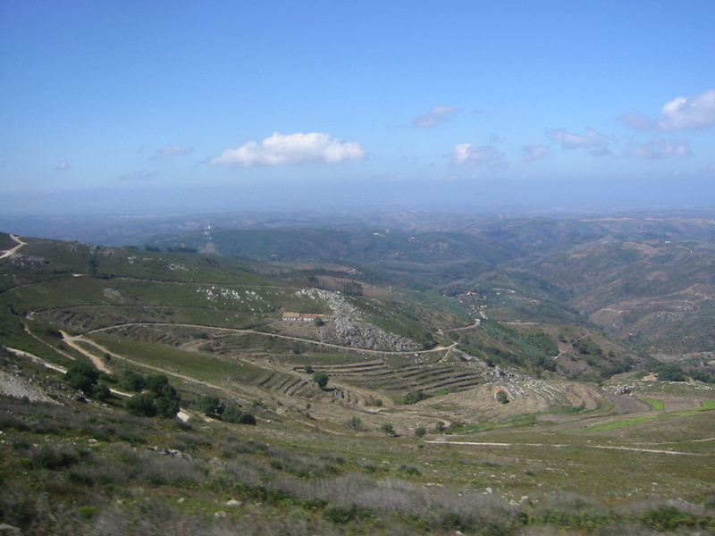 IMG_7793.JPG 