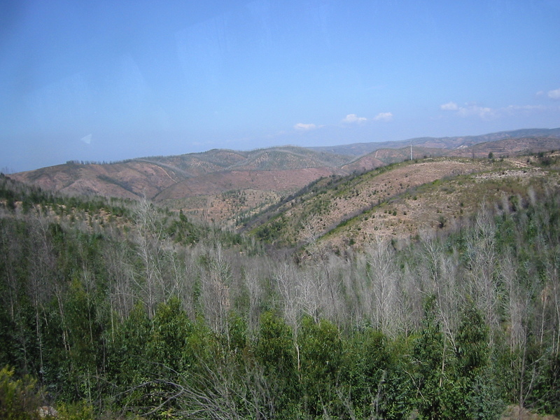 IMG_7799.JPG 
