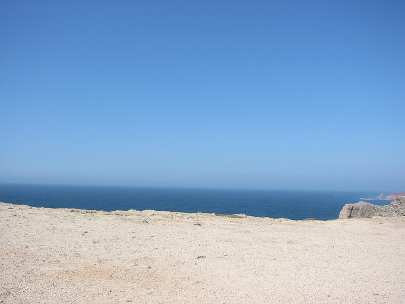 IMG_7810.JPG 