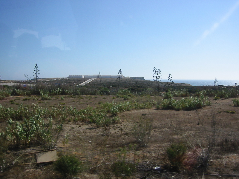 IMG_7821.JPG 