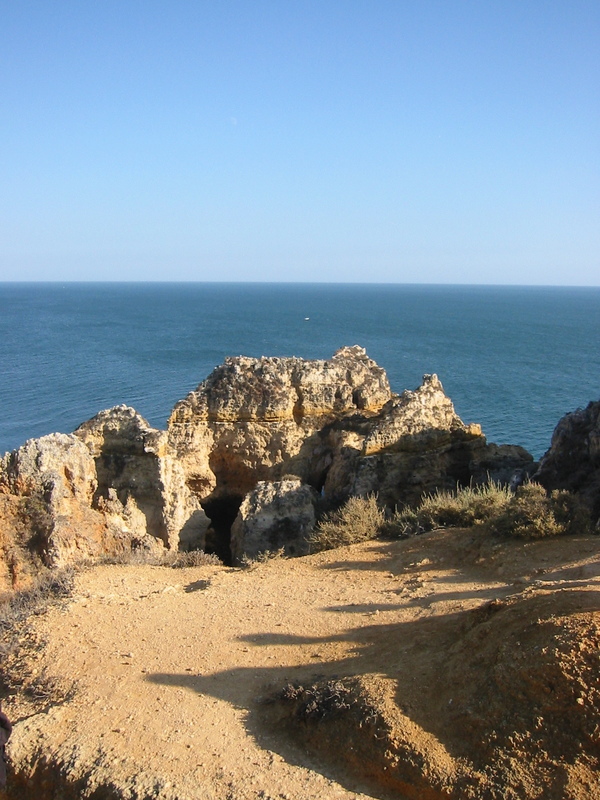 IMG_7830.JPG 