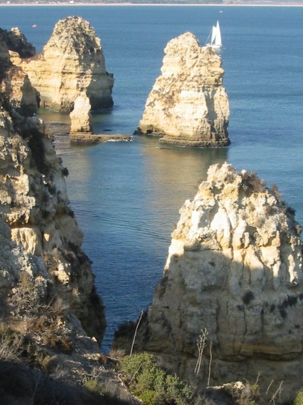 IMG_7834.JPG 