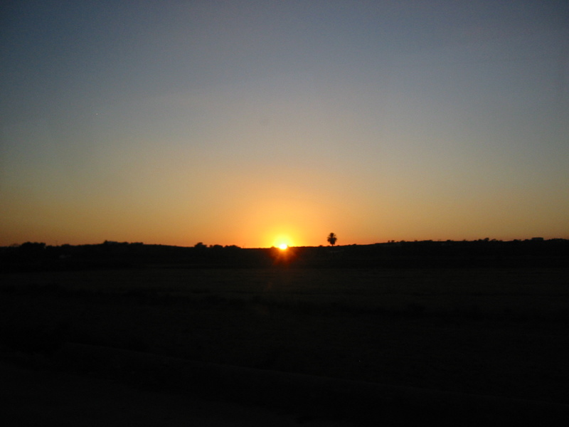 IMG_7850.JPG 