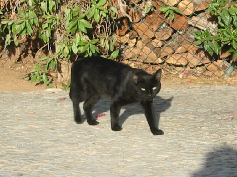 IMG_7877.JPG 
