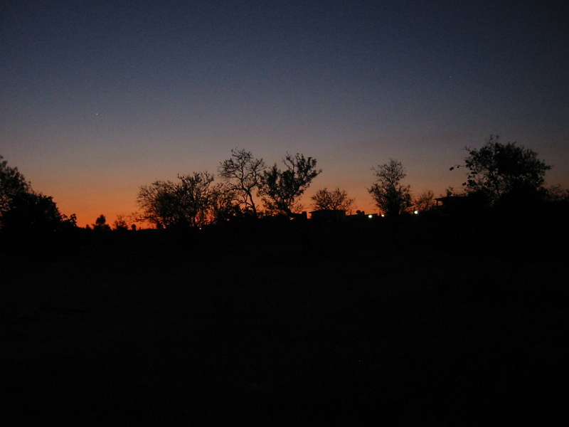 IMG_7882.JPG 
