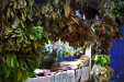 Thumbnail _mg_1605.jpg 