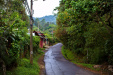 Thumbnail _mg_1816.jpg 
