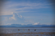 Thumbnail _mg_1869.jpg 