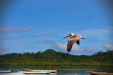 Thumbnail _mg_1879.jpg 